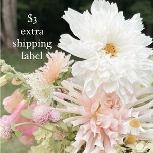 $3 EXTRA SHIPPING LABEL